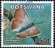 [Butterflies, tegund AGA]