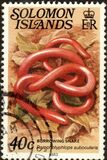[Reptiles and Amphibians, Tip MW]