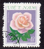 [Roses, tyyppi FZ1]