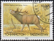 [Endangered Mammals, type U]