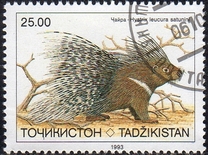 [Endangered Mammals, type W]
