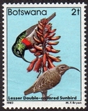 [Birds, tegund KN]