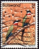 [Birds, tegund KO]