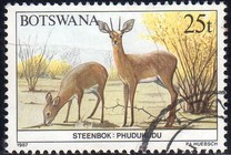 [Animals of Botswana, type OX]