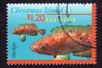 [Fish, type OZX]