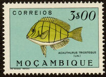 [Fish, type CK]