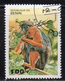 [Primates, ประเภท PP]