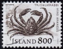 [Marine Life, type OS]