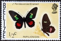 [Butterflies of Belize, type I]