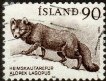 [Fauna - Icelandic Dog and Arctic Fox, tip LO]