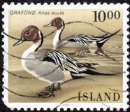 [Birds, type PA]
