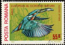 [European Nature Conservation Year, type FDM]