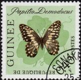 [Butterflies, type BL1]