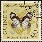 [Butterflies, type BK3]