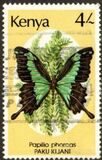 [Butterflies, Вид PI]