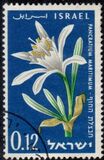 [The 12th Anniversary of Independence. Flowers, Tüüp GL]