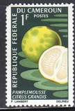 [Fruits, Tipe HA]