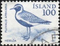 [Birds - Wren, Golden Plover and Raven, type MF]
