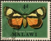 [Moths, Scrivi CQ]