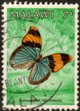 [Butterflies, tipas NC]