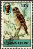[Birds, tegund FG]