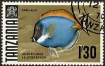 [Marine Life - Fish, type AA]