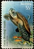 [Species at Risk - Joint Territories Issue - Green Turtle, type QN]