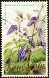 [Flowers, type IS]