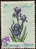 [Flowers, type KQ]