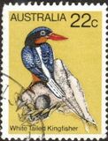 [Birds, Tipi TW]