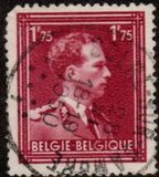 [King Leopold - New Values, වර්ගය FO9]