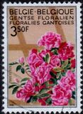 [flowers - Botanical Garden in Gent, type ALM]
