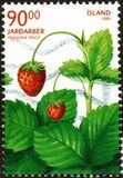 [Wild Berries, type AFY]