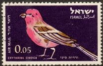 [Airmail - Birds, Tip IO]