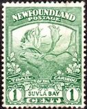 [Newfoundland Troops in the World War I, type BZ]