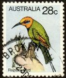 [Birds, Tipi TX]