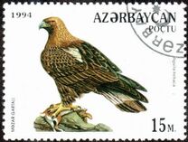 [Birds of Prey, type CY]