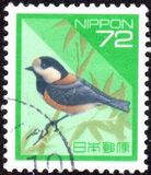 [Definitive Issue - Birds, タイプ CKN]