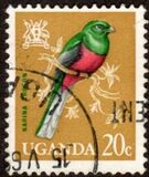 [Birds, type AB]
