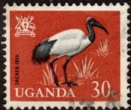 [Birds, type AC]