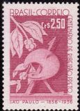 [The 100th Anniversary of the City of Ribeirao Preto, type AHF]