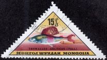 [Fish, type JM]