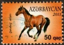 [Garabagh Horses, type AEY]