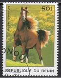 [Horses, type UC]