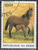 [Horses, type UE]