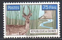 [Bohor Reedbuck, τύπος AC5]