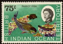 [Marine Life, Tipi J]