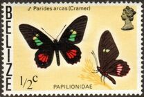 [Butterflies of Belize, type I]