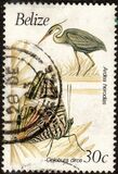[Birds and Butterflies, 类型 UJ]