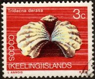 [Decimal Currency - Animals of the Cocos Islands, type J]